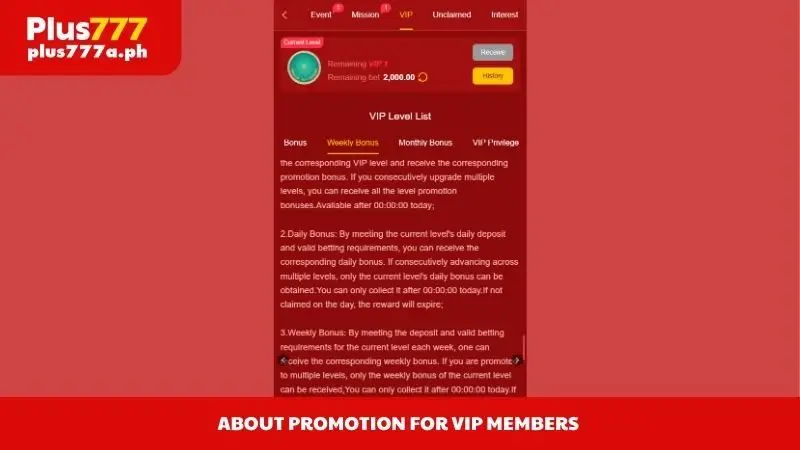 About promotion for VIP members 