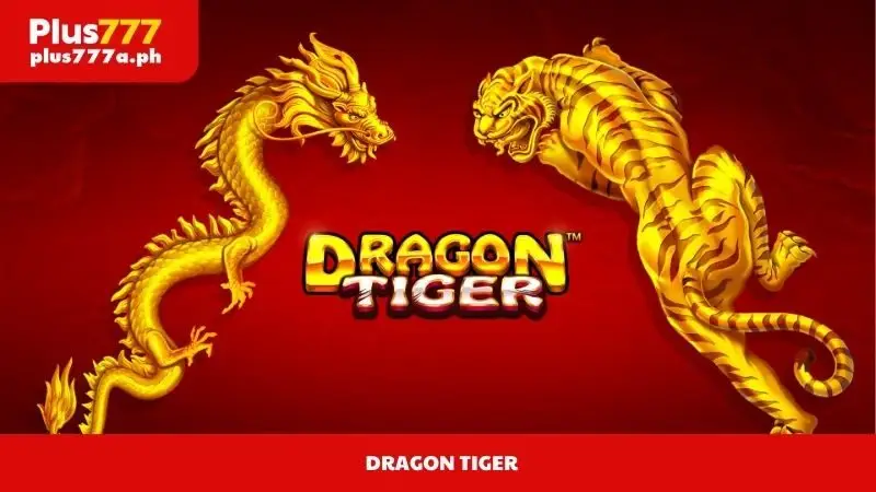 Dragon Tiger Guide Plus777