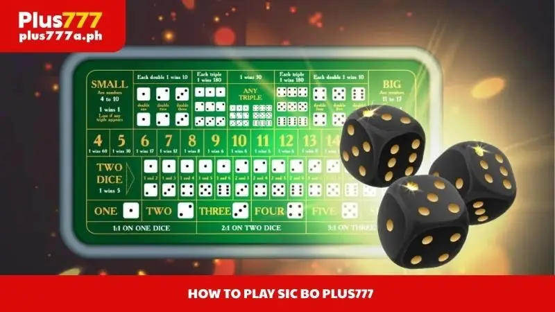 How To Play Sic Bo Plus777